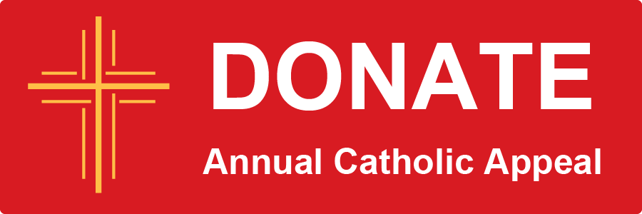 Donate to the Annual Appeal